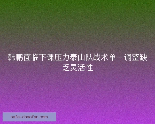韩鹏面临下课压力泰山队战术单一调整缺乏灵活性